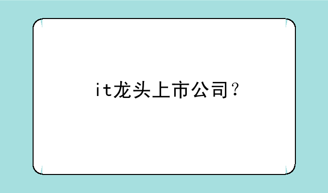 it龙头上市公司？