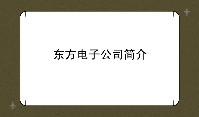 东方电子公司简介