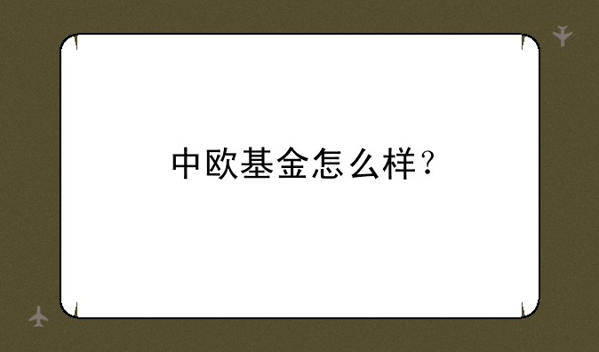 中欧基金怎么样？