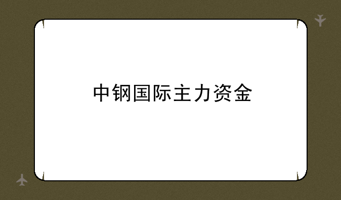 中钢国际主力资金