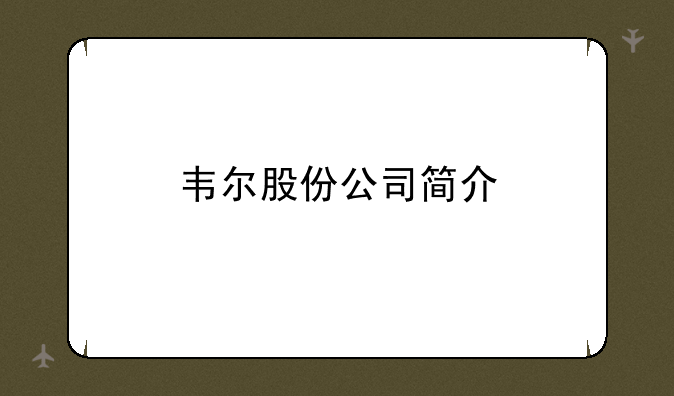 韦尔股份公司简介