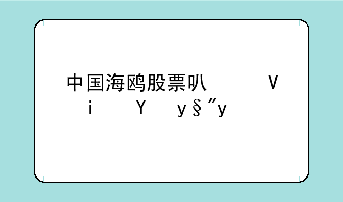 中国海鸥股票可以长期持有吗