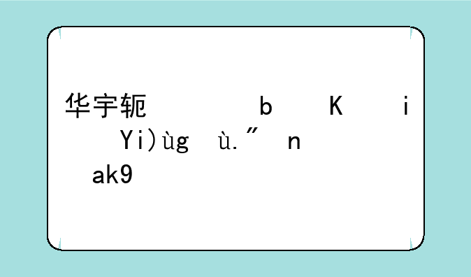 华宇软件是不是大型上市公司