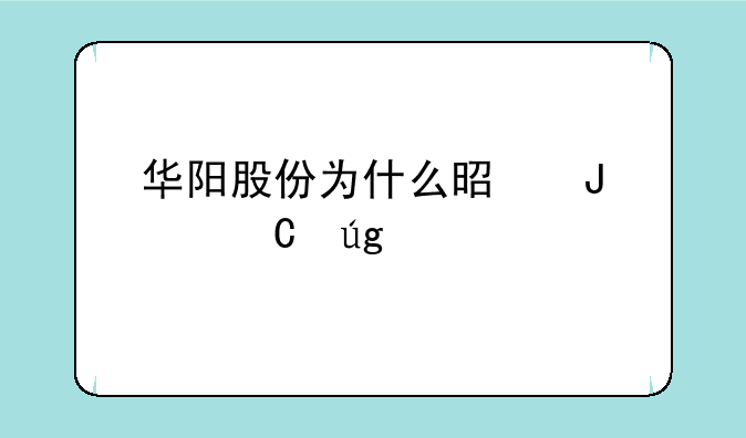 华阳股份为什么是钠离子龙头