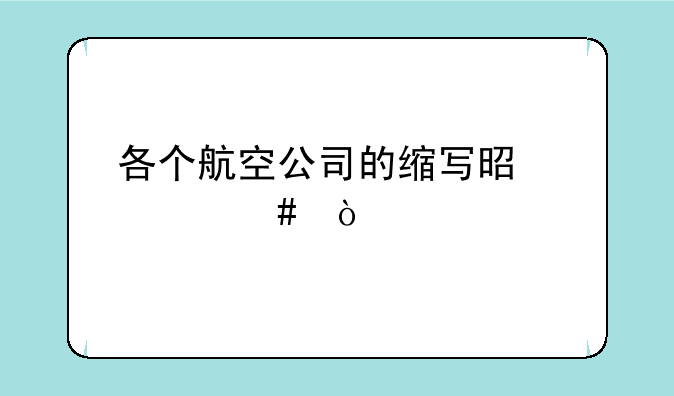 各个航空公司的缩写是什么？