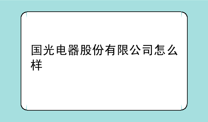 国光电器股份有限公司怎么样