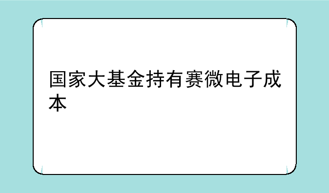 国家大基金持有赛微电子成本