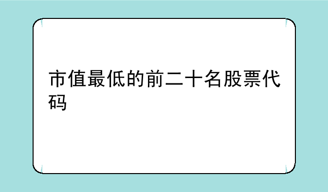 市值最低的前二十名股票代码