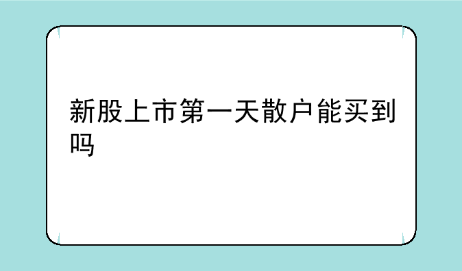 新股上市第一天散户能买到吗