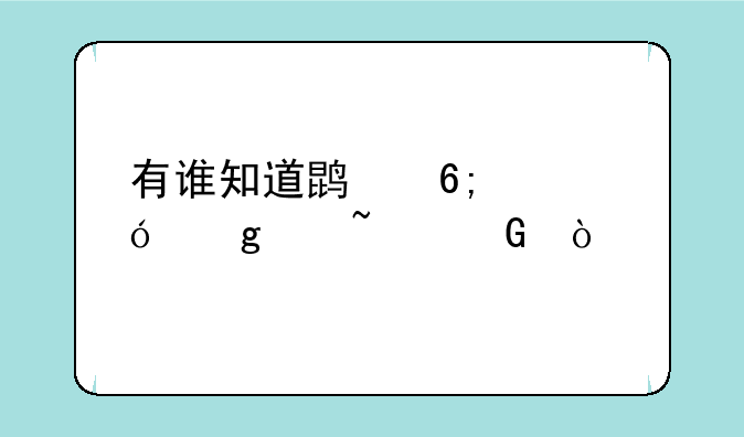 有谁知道鹏华价值这个基金？