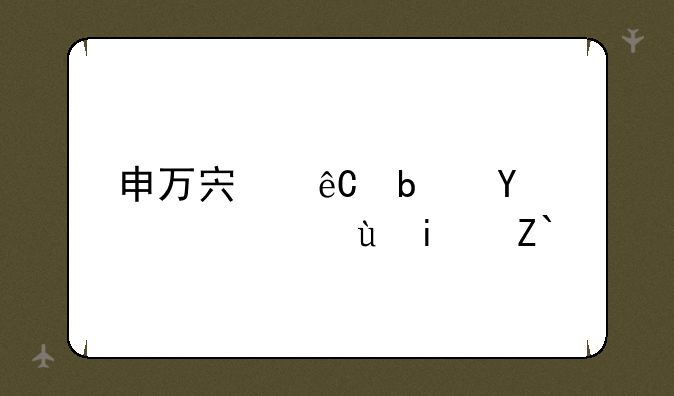 申万宏源是同花顺还是通达信