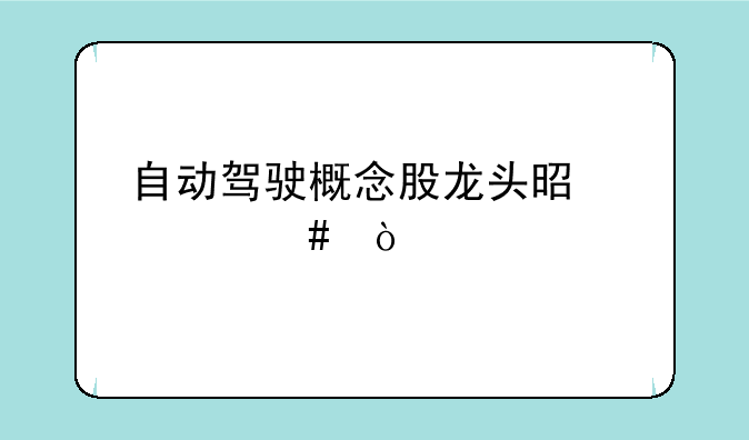 自动驾驶概念股龙头是什么？