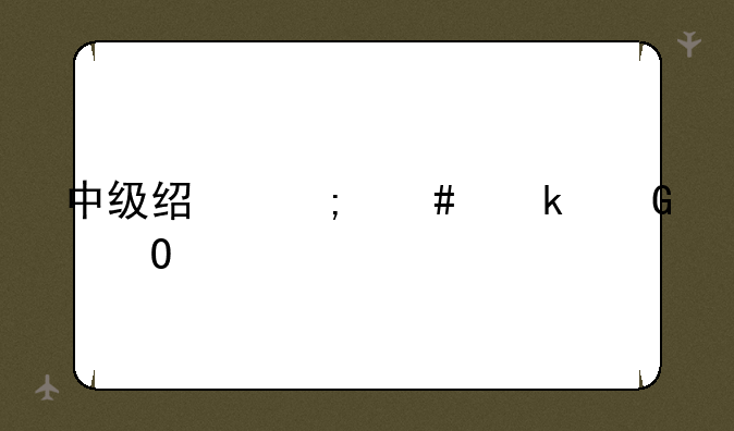 中级经济师多少道题