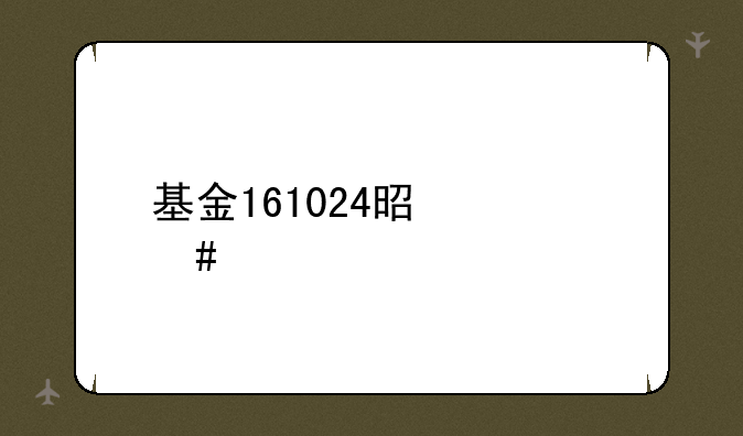 基金161024是什么股票