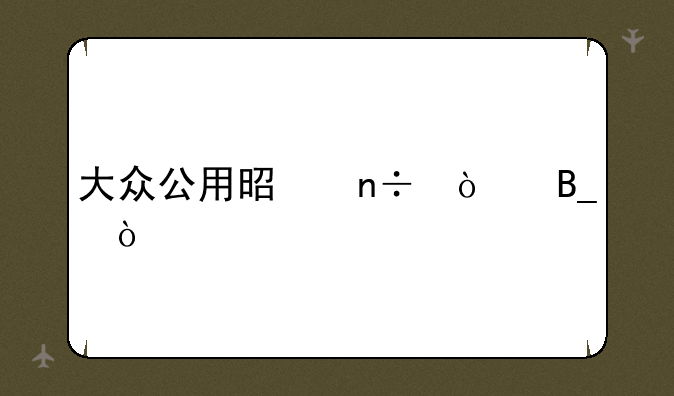 大众公用是国企吗？