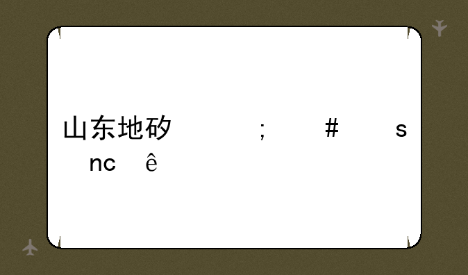 山东地矿怎么停盘了