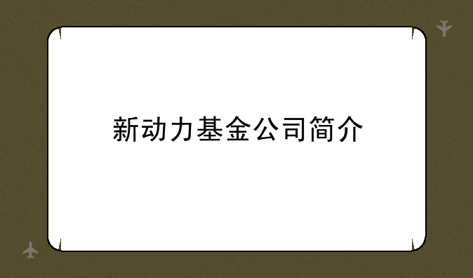 新动力基金公司简介