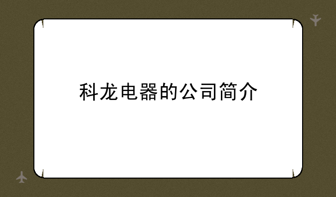 科龙电器的公司简介