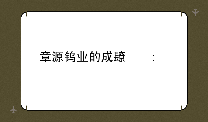 章源钨业的成长历程