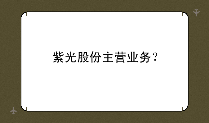 紫光股份主营业务？