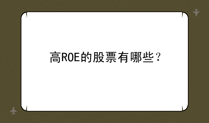 高ROE的股票有哪些？