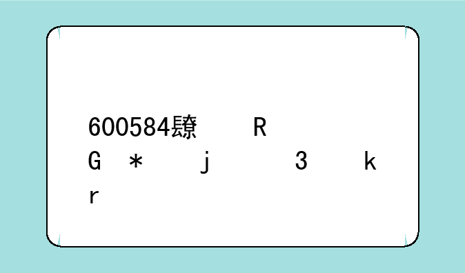 600584长电科技的行业地位