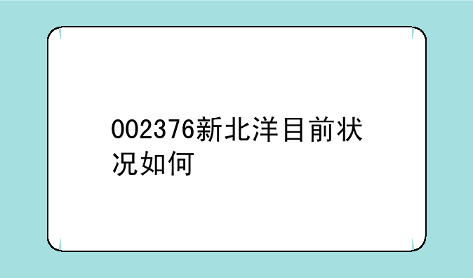 002376新北洋目前状况如何