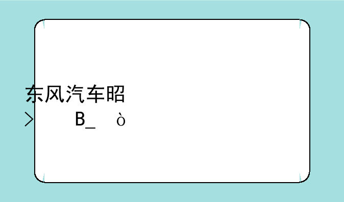 东风汽车是上市公司吗？