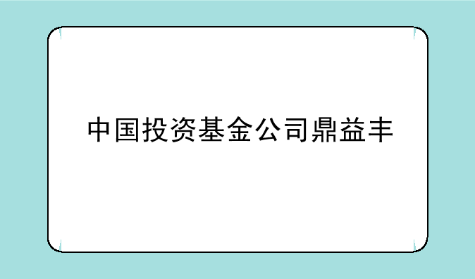 中国投资基金公司鼎益丰