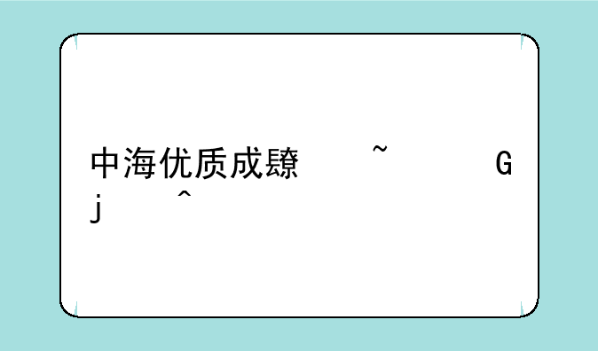 中海优质成长基金的问题