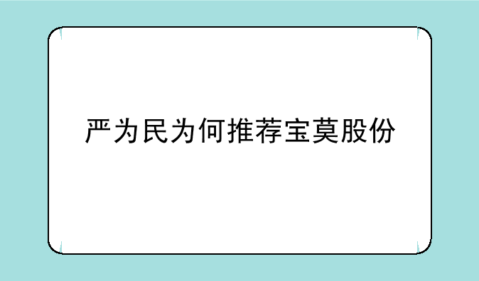 严为民为何推荐宝莫股份