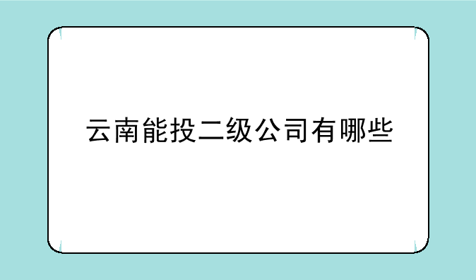 云南能投二级公司有哪些