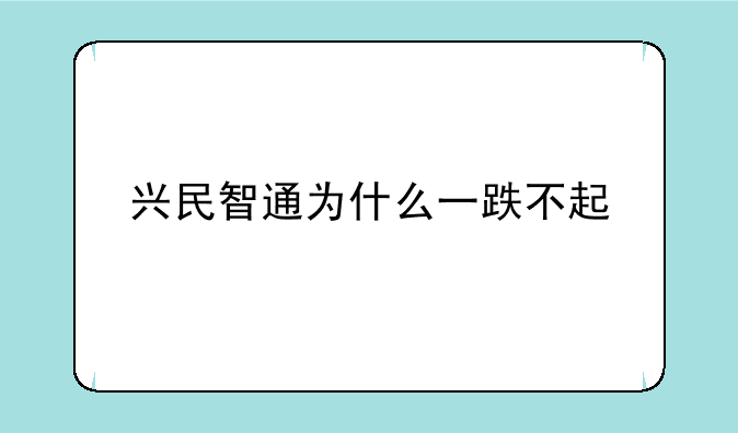 兴民智通为什么一跌不起