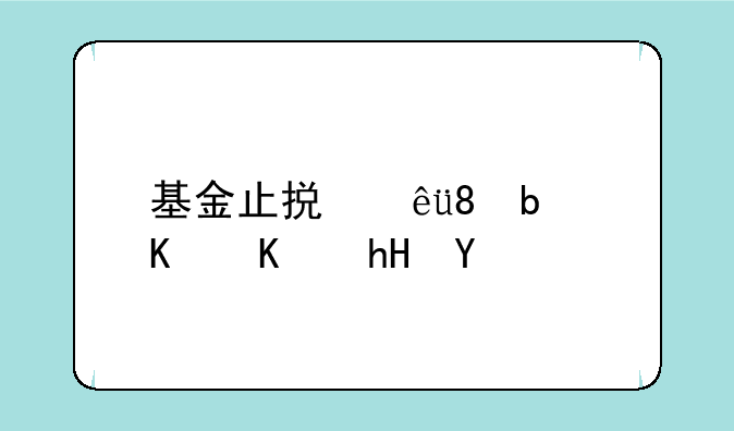 基金止损线0.5是什么意思