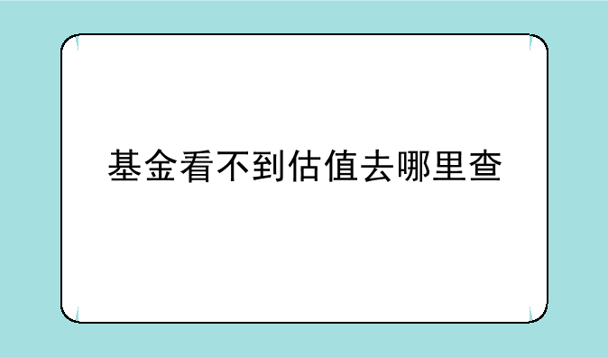 基金看不到估值去哪里查