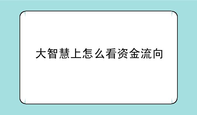 大智慧上怎么看资金流向