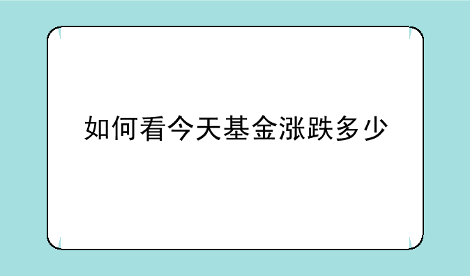 如何看今天基金涨跌多少