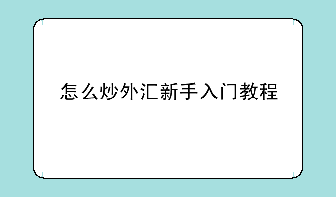 怎么炒外汇新手入门教程