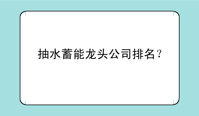 抽水蓄能龙头公司排名？