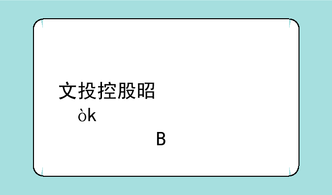 文投控股是冬奥会股票吗