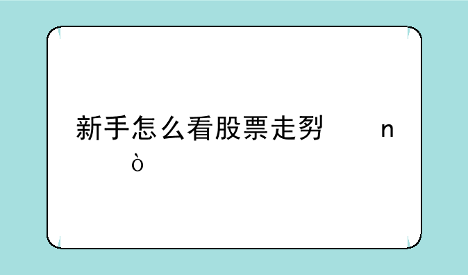 新手怎么看股票走势图？