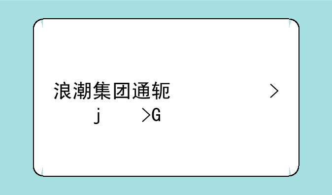 浪潮集团通软公司的发展