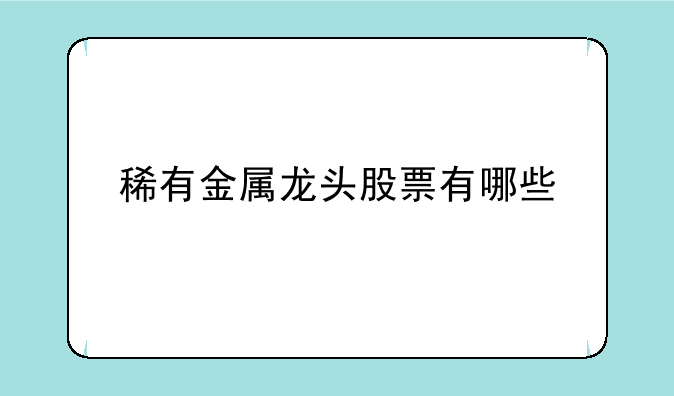 稀有金属龙头股票有哪些