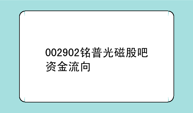 002902铭普光磁股吧资金流向