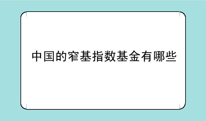 中国的窄基指数基金有哪些