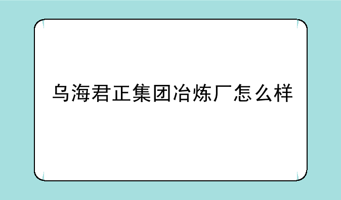 乌海君正集团冶炼厂怎么样