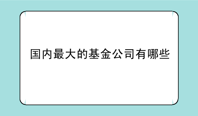 国内最大的基金公司有哪些