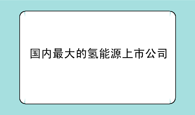 国内最大的氢能源上市公司