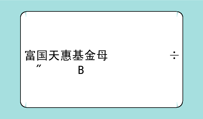 富国天惠基金每年都分红吗