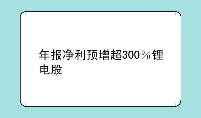 年报净利预增超300％锂电股